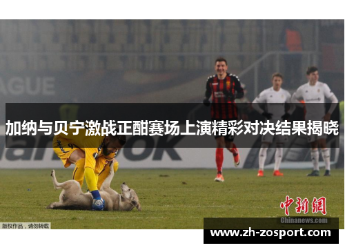 加纳与贝宁激战正酣赛场上演精彩对决结果揭晓